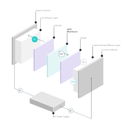 AEM Cell Layers